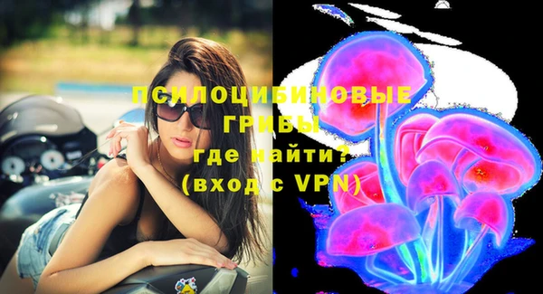 амфетамин Богородск